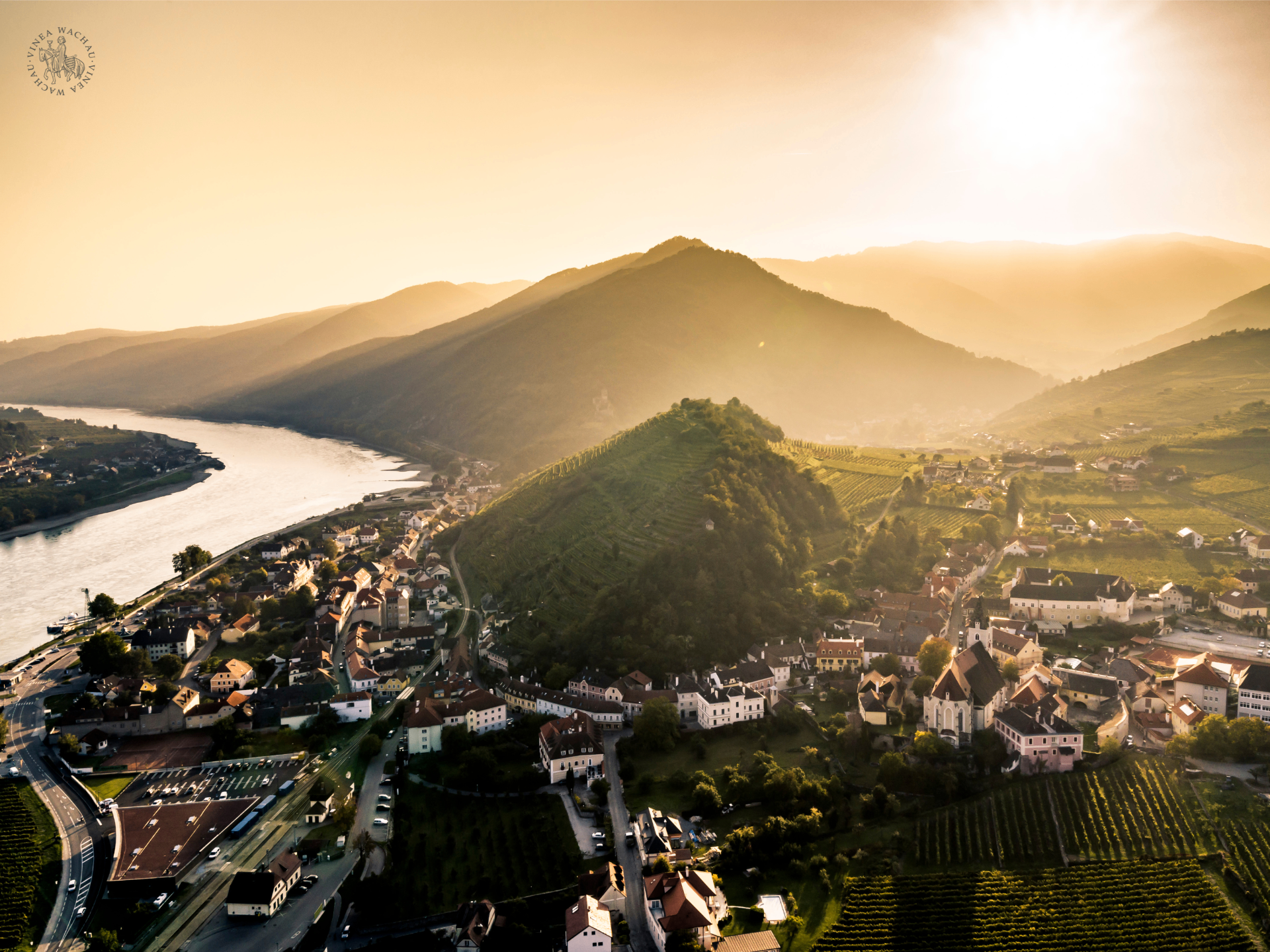 Wachau valley vineyards at sunset